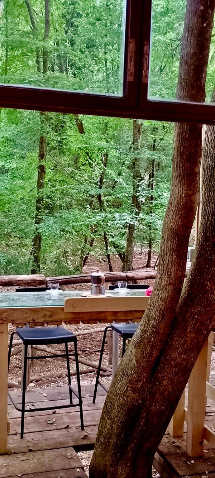 Agriturismo Parco Dai Nonni Ischitella Εξωτερικό φωτογραφία