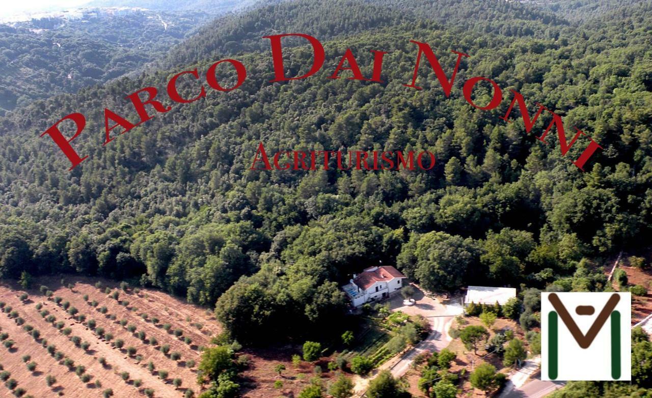 Agriturismo Parco Dai Nonni Ischitella Εξωτερικό φωτογραφία